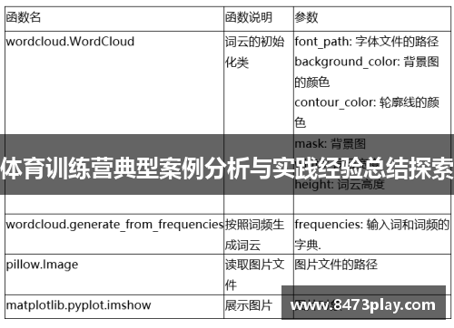 体育训练营典型案例分析与实践经验总结探索